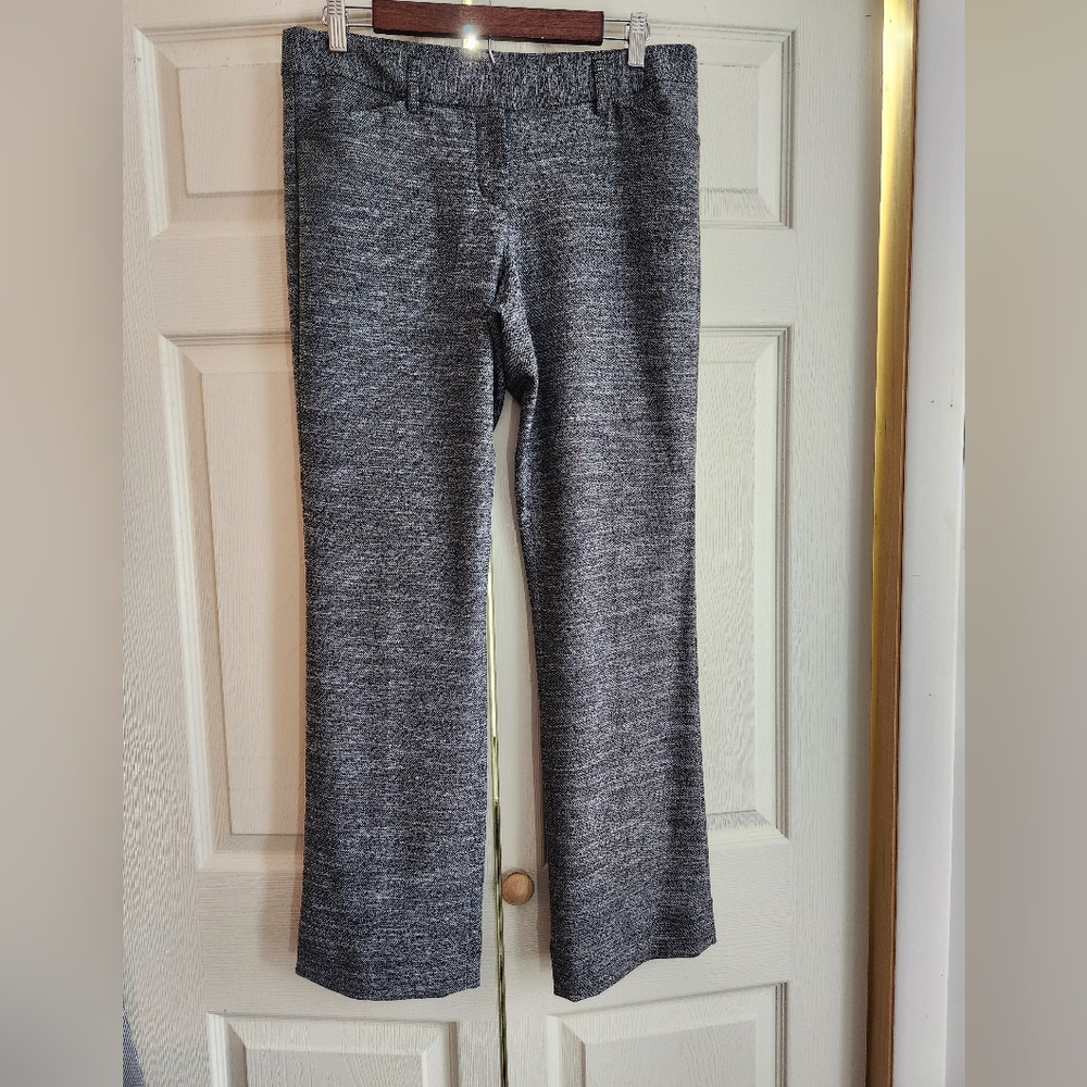 Express Editor Pants